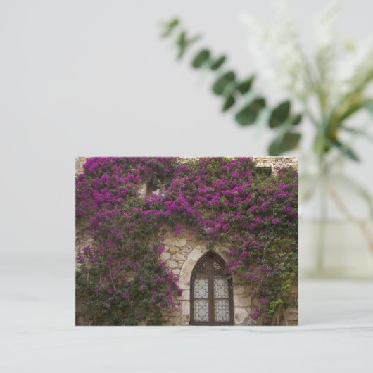 Frankrijk, Provence, Eze. Bright Pink Briefkaart (Staand voorkant)