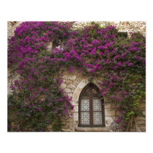 Frankrijk, Provence, Eze. Bright Pink Foto Afdruk (Voorkant)