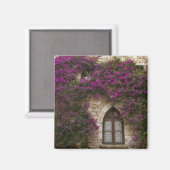 Frankrijk, Provence, Eze. Bright Pink Magneet (Voorkant / Achterkant)