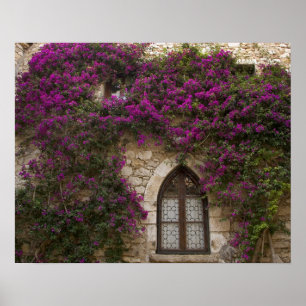 Frankrijk, Provence, Eze. Bright Pink Poster