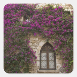 Frankrijk, Provence, Eze. Helder roze Vierkante Sticker