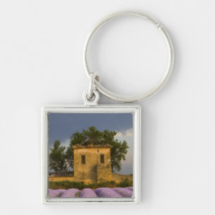 Frankrijk, Provence. Lavendelveld en Sleutelhanger