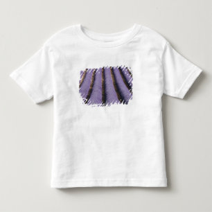 Frankrijk, Provence. Rijen lavendel in bloei. 2 Kinder Shirts