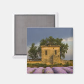 Frankrijk, Provence. Waaiveld en Magneet (Voorkant / Achterkant)