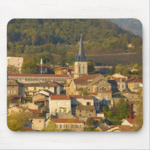Frankrijk, Rhone rivier, stad bij Vienne Muismat
