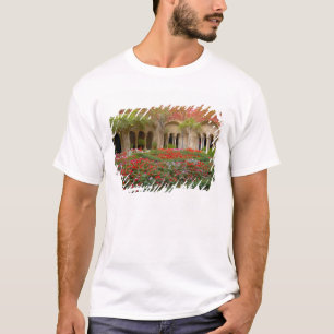 Frankrijk, St. Remy de Provence, kloostergangen om T-shirt