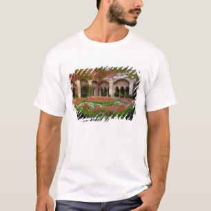 Frankrijk, St. Remy de Provence, kloostergangen op T-shirt