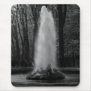 Frankrijk Versailles palace Ceres fontain Muismat