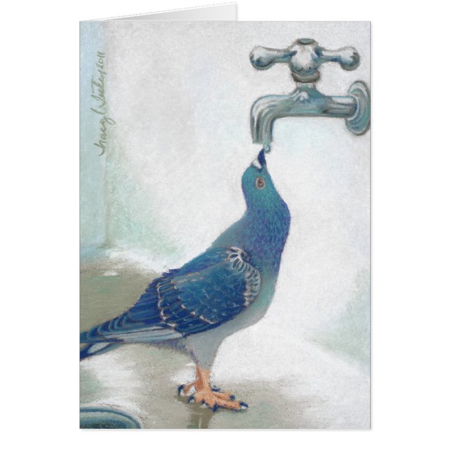 Frank's Pidgeon (Voorkant)