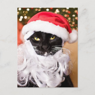 Franny Claus Sad Santa Kat Feestdagenkaart