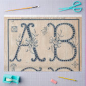 Frans borduurpatroon Decoupage of Giftwrap Tissuepapier (Craft)