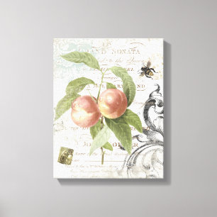 Frans Botanisch Perzik uitgerekt canvas Afdruk