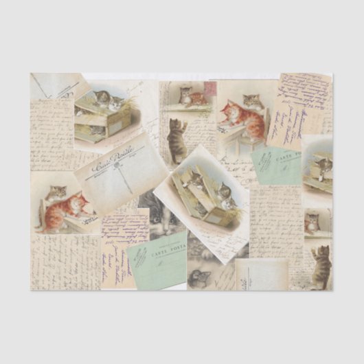 Frans Briefkaart plakpapier voor katten Tissuepapier (Voorkant)