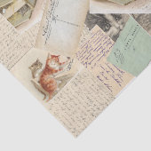 Frans Briefkaart plakpapier voor katten Tissuepapier (Detail)