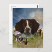 Frans-Brittany, art Briefkaart (Voorkant / Achterkant)