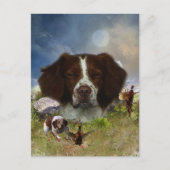 Frans-Brittany, art Briefkaart (Voorkant)