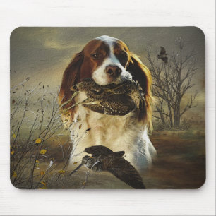 Frans-Brittany, art Muismat