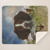 Frans-Brittany, art Sherpa Deken (Voorkant (horizontaal))