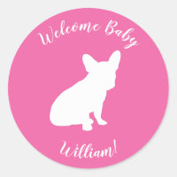 Frans Bulldog Baby shower Frenchie Pink