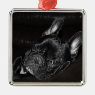 Frans Bulldog Ornament Metal Custom