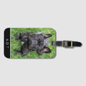 Frans Bulldog Photo Custom Monogram Bagagelabel (Voorkant (horizontaal))