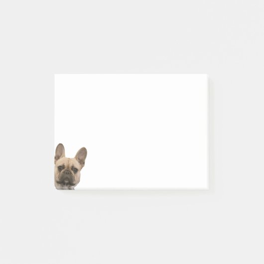 Frans Bulldog Photo Cute Face Afbeelding Post-it® Notes (Voorkant)