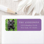Frans Bulldog Photo Paars Return Address Label (Insitu)