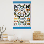  Frans Butterflies Cottcore Poster (Keuken)