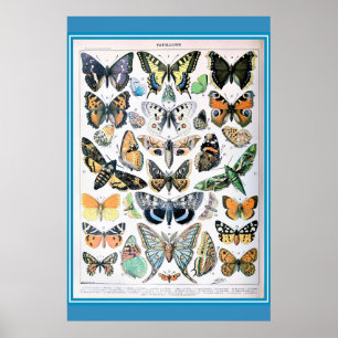  Frans Butterflies Cottcore Poster