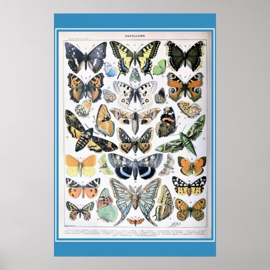  Frans Butterflies Cottcore Poster (Voorkant)