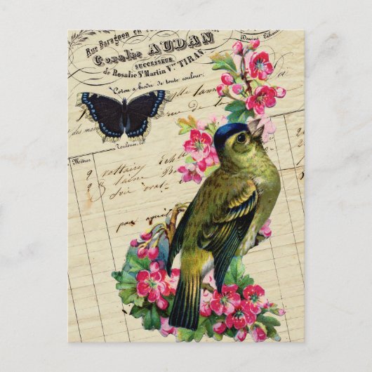  Frans Chic Spring Bird Collage Briefkaart (Voorkant)