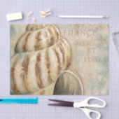  Frans Conch Shell Tissuepapier (Craft)