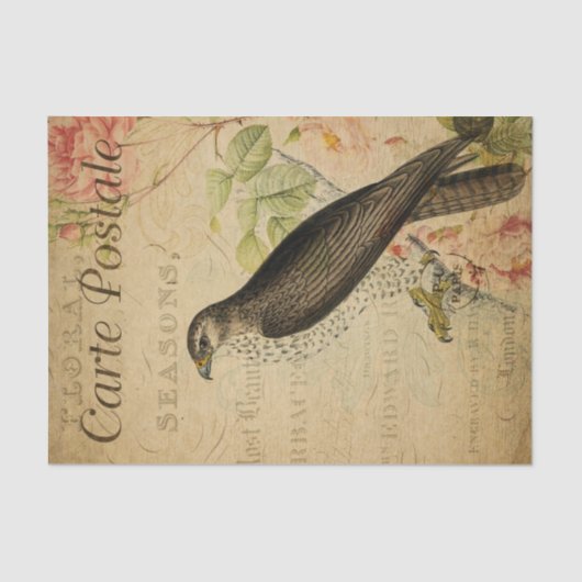 Frans Ephemera Buzzard Bird of Prey Decoupage Tissuepapier (Voorkant)
