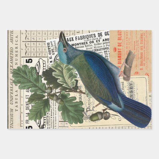  Frans Ephemera ontkoppeling collage drie Inpakpapier Vel (Voorkant 3)