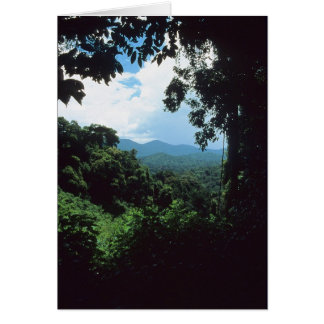 FRANS-GUIANA: Uitzicht regenwoud