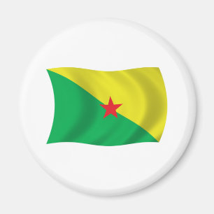 Frans-Guyana Flag Magnet Magneet