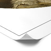 Frans Hals Zedign Poster d'art #284 (Coin)