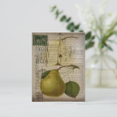 Frans land botanische illustratie  peer briefkaart (Staand voorkant)