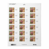 Frans land chic, shabby chic, roze rozen, flora etiket (Full Sheet)