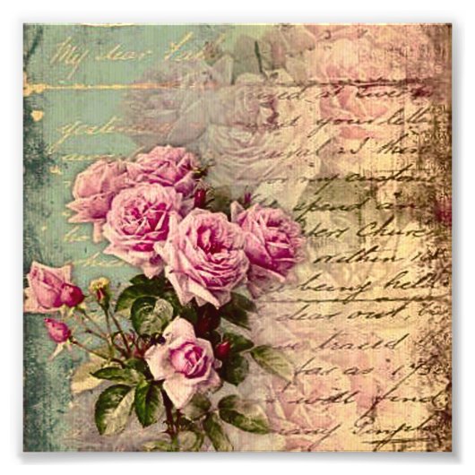 Frans land chic, shabby chic, roze rozen, flora foto afdruk (Voorkant)