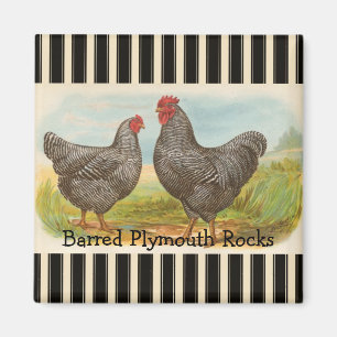 Frans land Rooster Hen Poultry Fridge Magnet Magneet