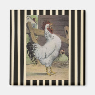 Frans Land White Rooster Hen Fridge Magnet Magneet