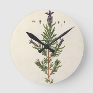 Frans Lavender, bord 241 uit 'A Curious Herbal' Ronde Klok