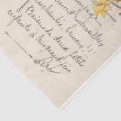  Frans paaskonijn Daffodil Briefkaart Tissuepapier (Detail)