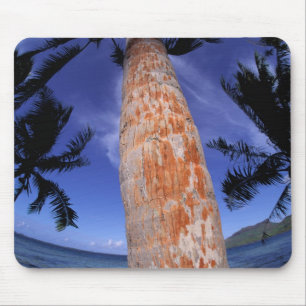 Frans-Polynesië, Bora Bora, Palmbomen Muismat