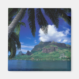 Frans-Polynesië, Moorea. Cooks Bay. Groen Magneet