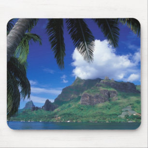 Frans-Polynesië, Moorea. Cooks Bay. Groen Muismat