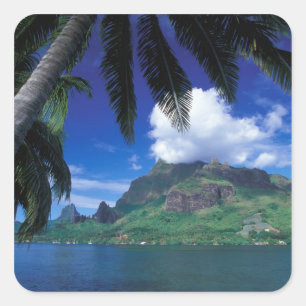 Frans-Polynesië, Moorea. Cooks Bay. Groen Vierkante Sticker