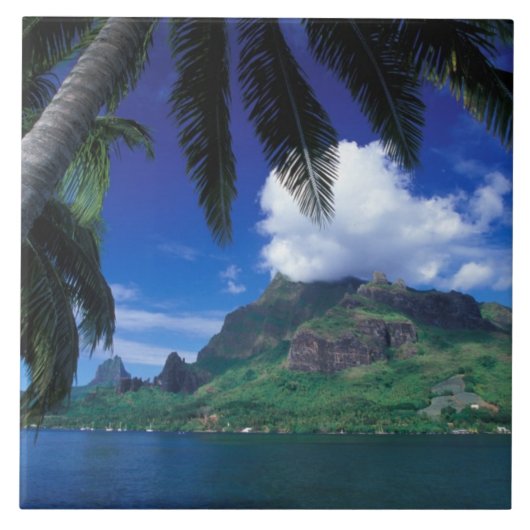 Frans-Polynesië, Moorea. Koekbaai. Groen Tegeltje (Voorkant)