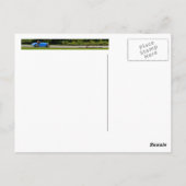 Frans Racing Blue Briefkaart (Achterkant)